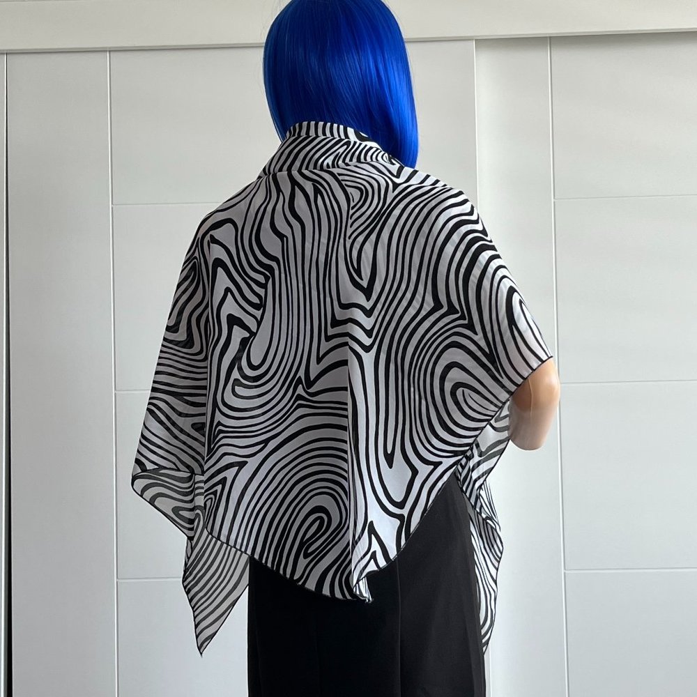 Zebra - image 1